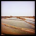Al-gharb Eco Tavira