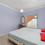 Al-gharb Eco 3*
